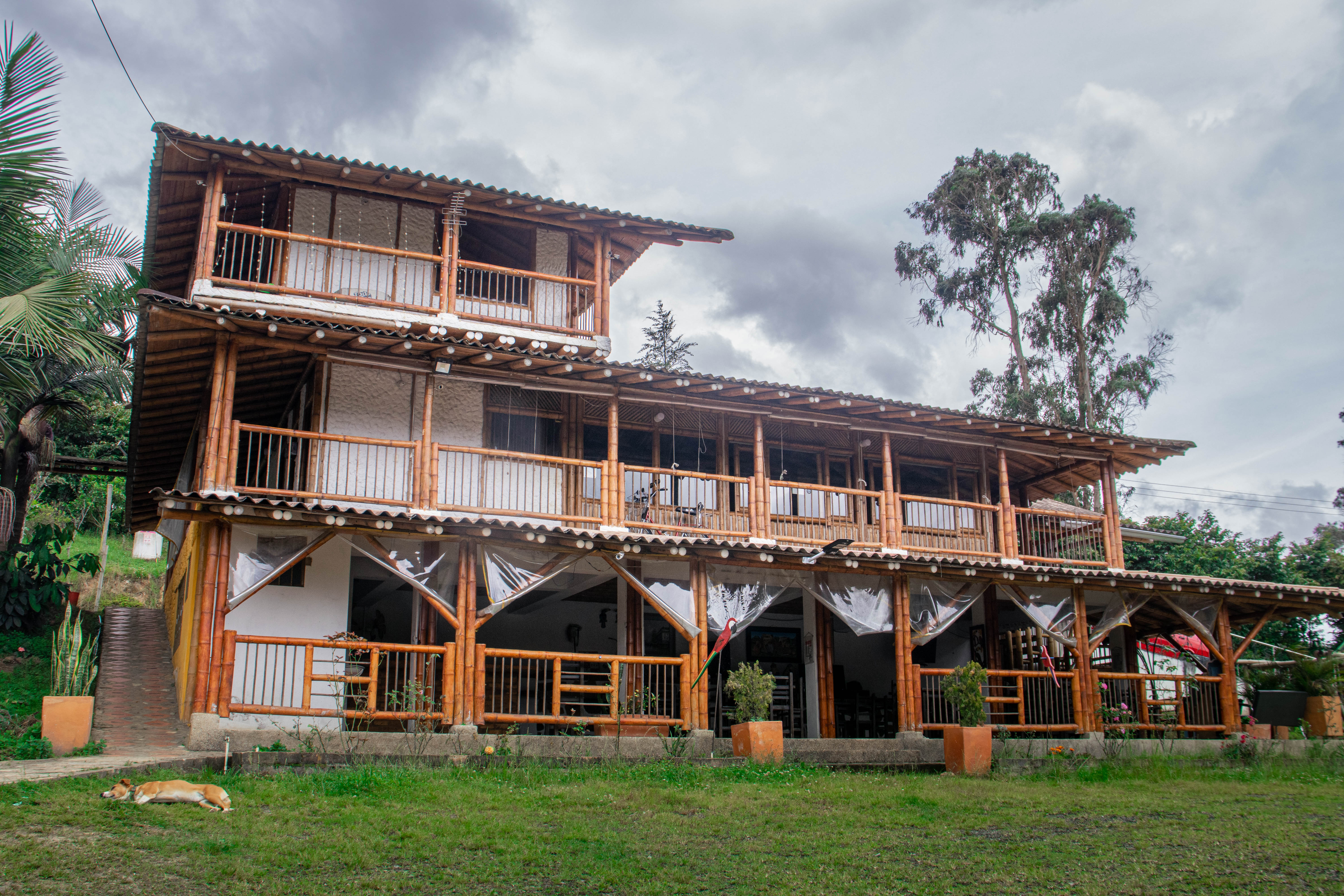 Hermosa vista de las instalaciones del Hotel El Bambú, donde la naturaleza y la arquitectura se fusionan